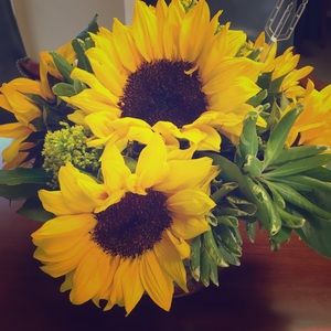 Meet your Posher, Jasmine